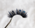 Blue Butterfly