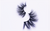 Wholesale Lashes